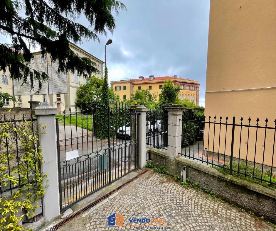 Savona