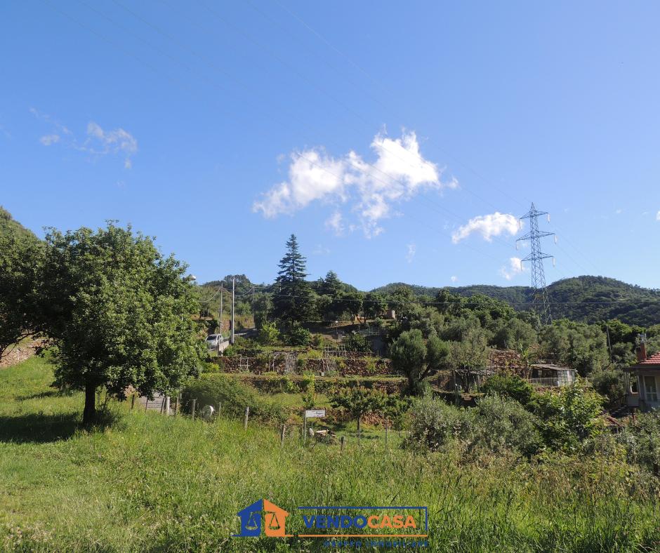 Savona