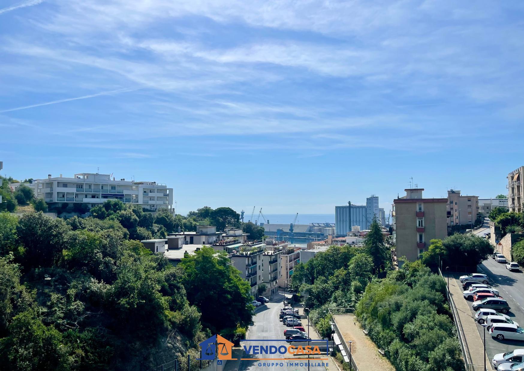 Savona